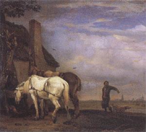 POTTER, Paulus Two Drafthorses in Front of a Cottage (mk05) oil painting picture